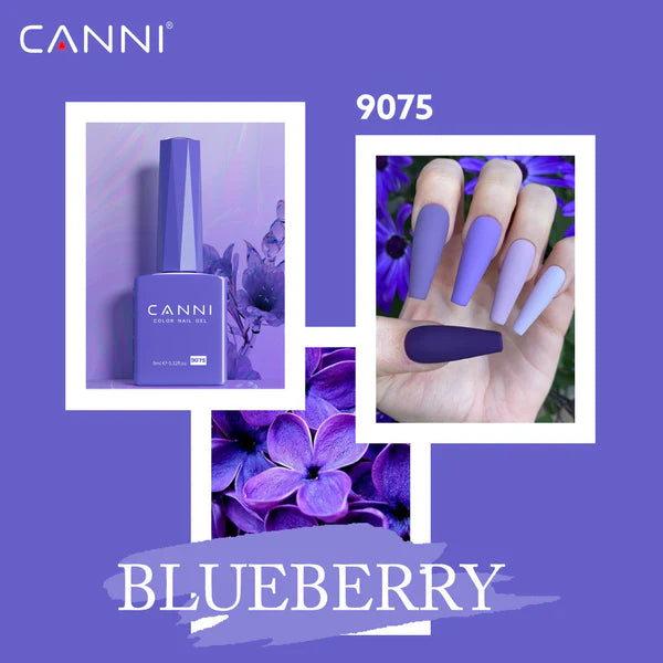 CANNI HEMA FREE 30pcs Nail Gel Polish Kit - CC4
