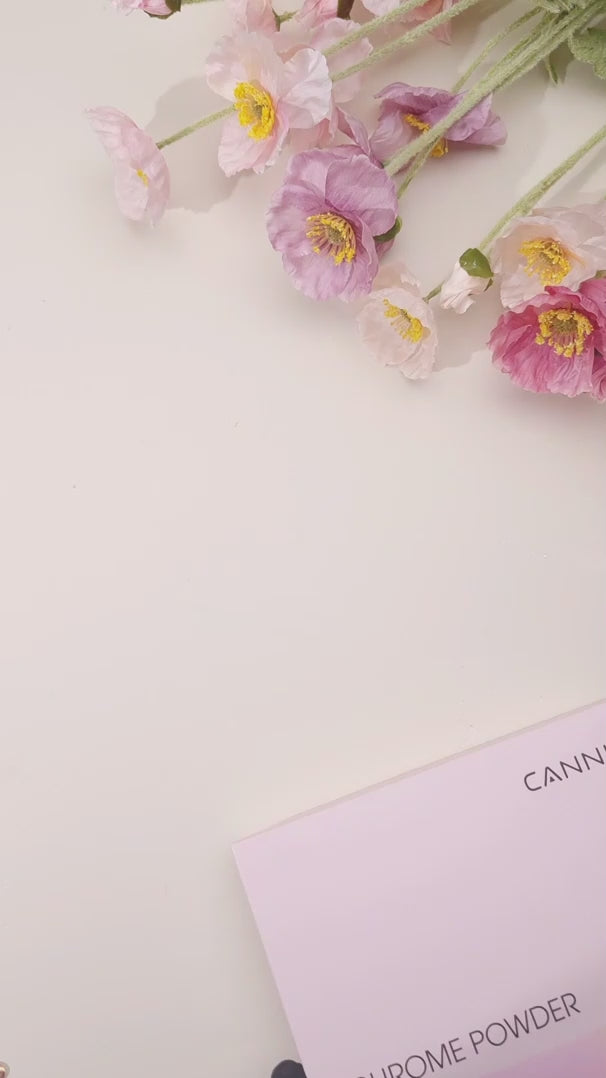 CANNI Chrome Powder